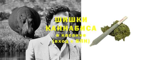 мдпв Богородск
