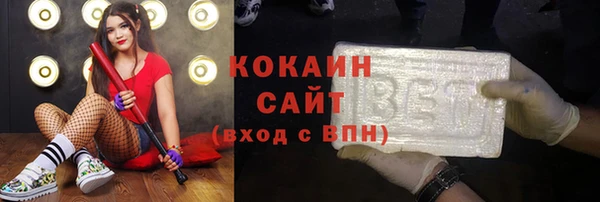 мдпв Богородск