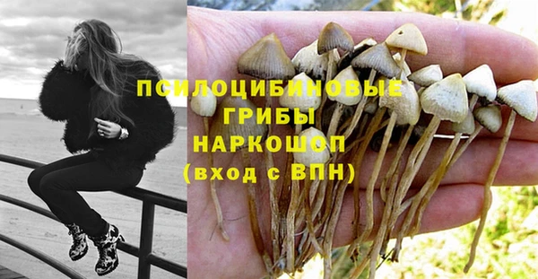 круглые Богданович