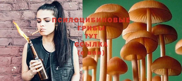 ешки Богородицк