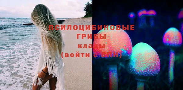 мдпв Богородск