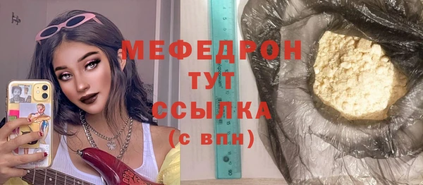 мдпв Богородск