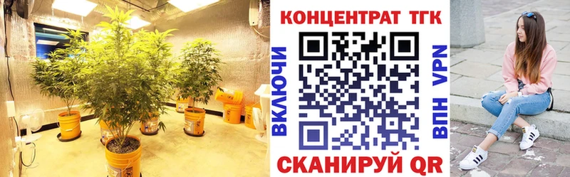 ТГК Wax  сколько стоит  Волжск 